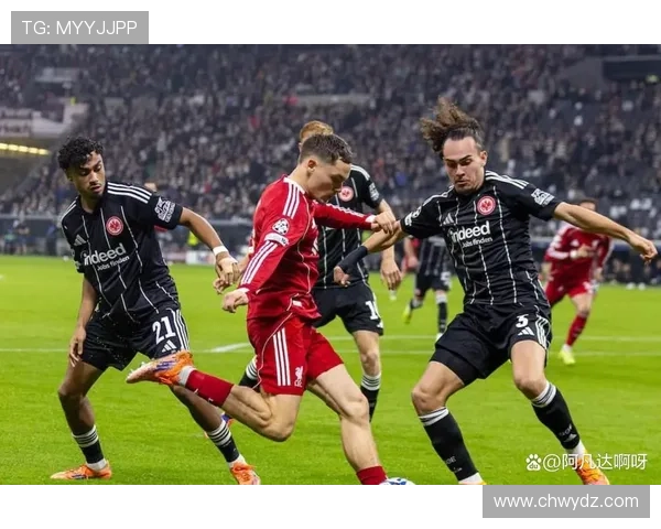 法兰克福少年引多队争夺焦点 法兰克福少年引多队争夺焦点